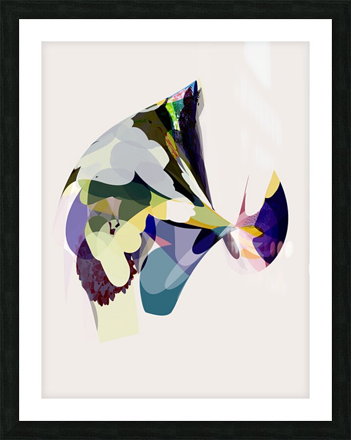 Painted Veil Picture Frame Printing