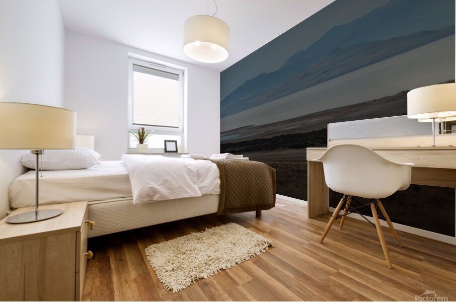 Antelope Island  Mural print