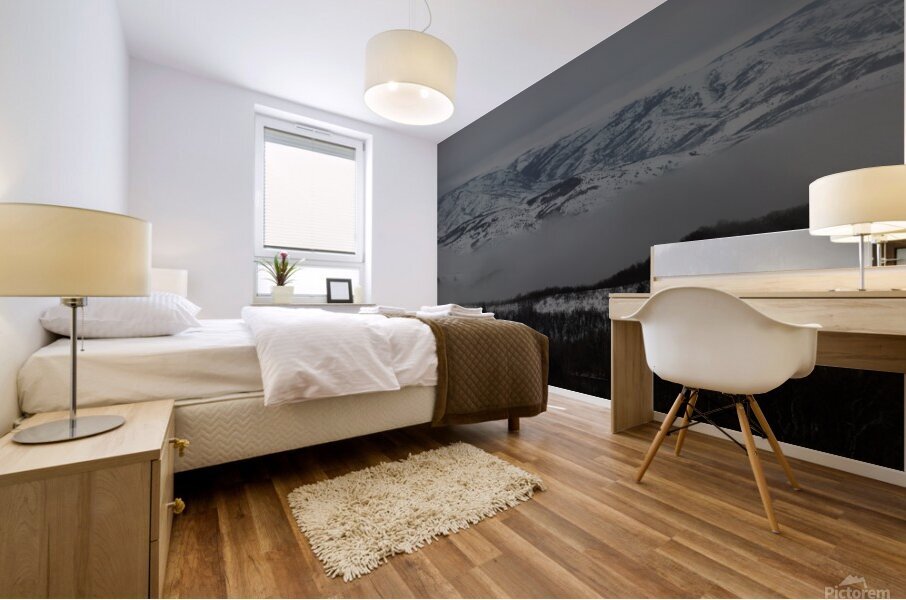 Dreary Day Mural print