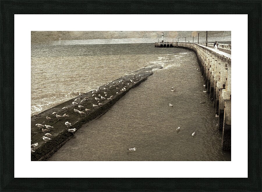 Into the distance Picture Frame print