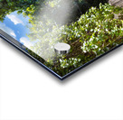 Israel Jerusalem old narrow streets of Nahlaot historic neighborhood with many small synagogues Acrylic print