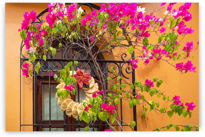 Oaxaca Mexico Scenic old city streets and colorful colonial buildings in historic city center by Elijah Lovkoff