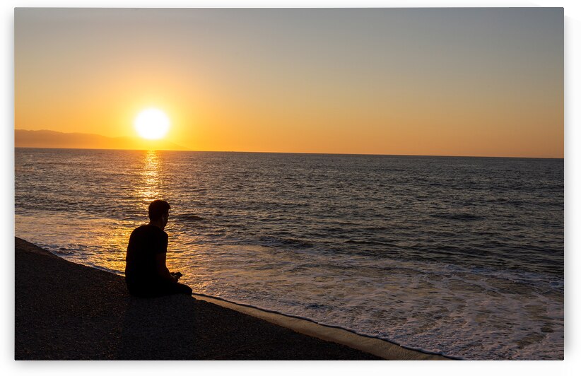 Famous Puerto Vallarta sculptures on a scenic ocean boardwalk El Malecon  a popular tourist destination by Elijah Lovkoff
