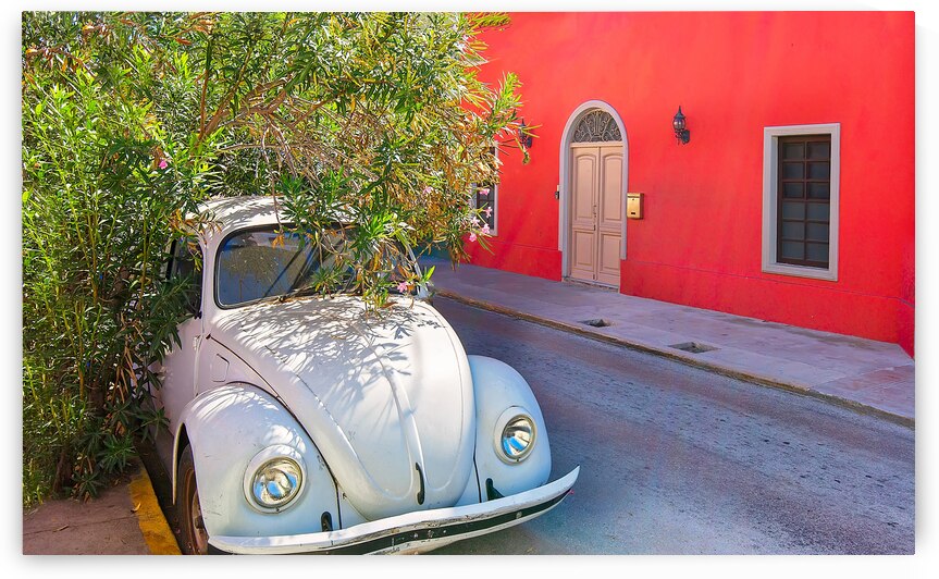 Merida Mexico   11 February 2020: Scenic colorful colonial Mer by Elijah Lovkoff