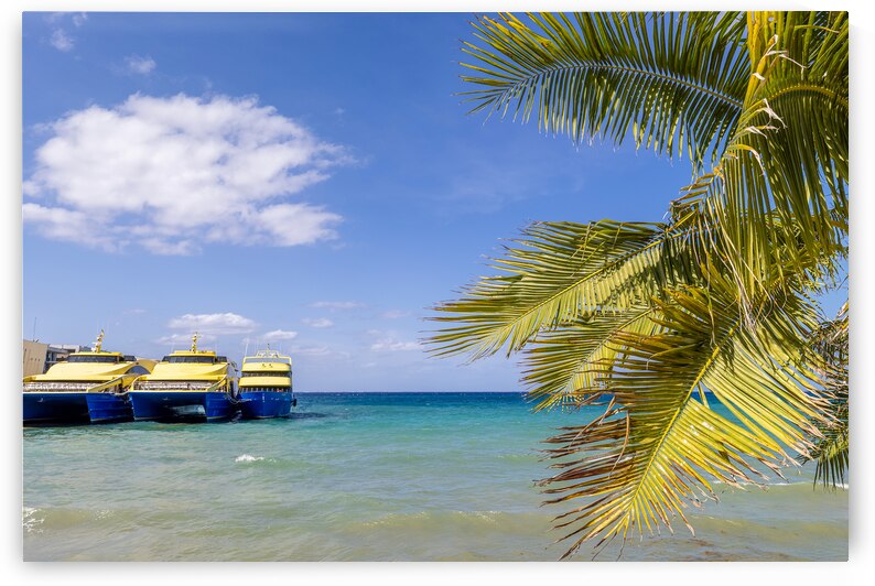 Mexico High speed Cozumel ferry at the terminal Cozumel waiting for passengers to Playa del Carmen by Elijah Lovkoff