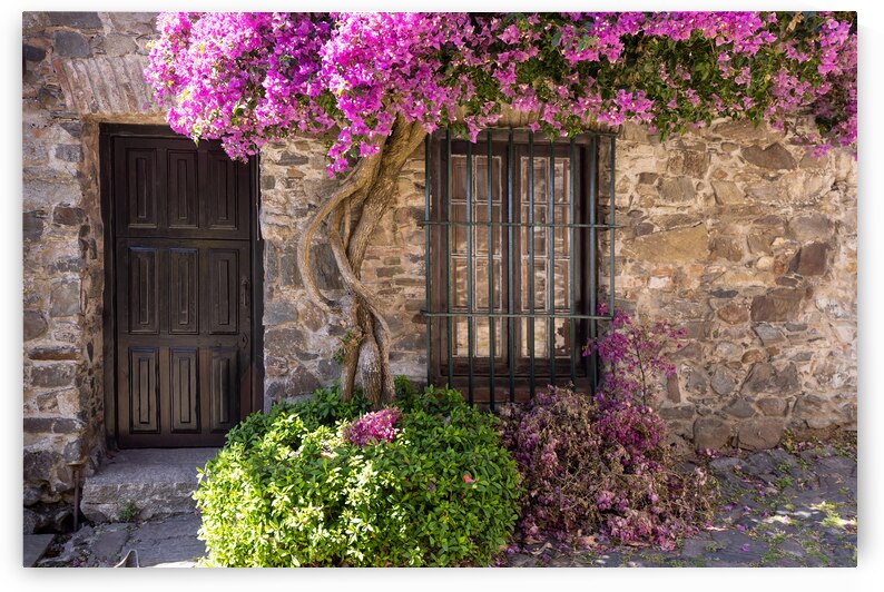 Uruguay colonial streets of Colonia Del Sacramento in historic center of Barrio Historico by Elijah Lovkoff