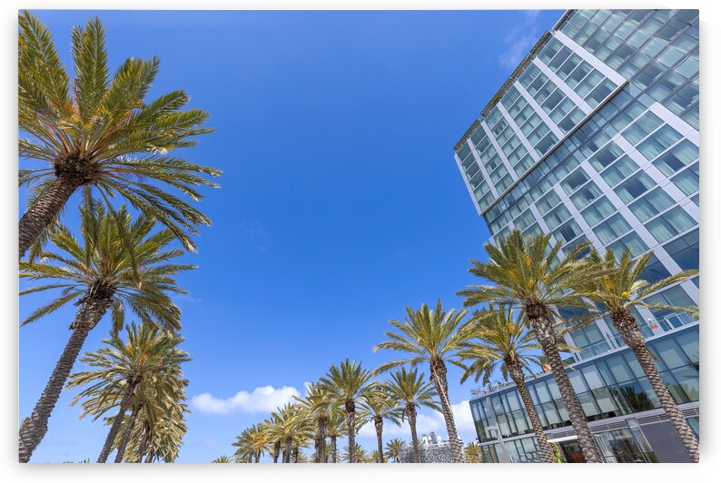 USA Scenic San Diego downtown financial district city skyline and skyscrapers by Elijah Lovkoff