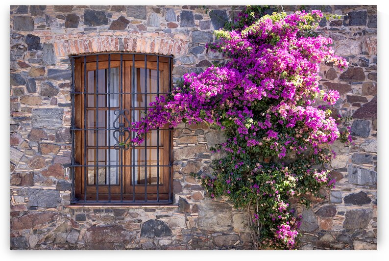 Uruguay colonial streets of Colonia Del Sacramento in historic center of Barrio Historico by Elijah Lovkoff