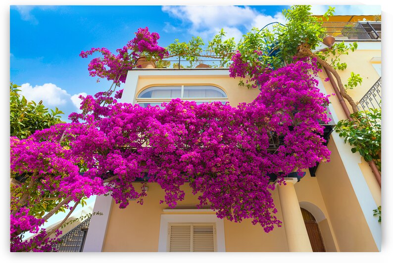 Italy old streets of beautiful tourism destination Ischia Island near Naples by Elijah Lovkoff