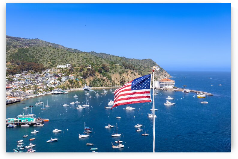 Panoramic view of Catalina Island Bay and Avalon city in California. by Elijah Lovkoff