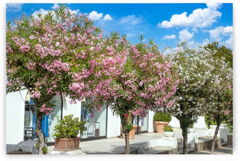 Italy old streets of beautiful tourism destination Ischia Island near Naples by Elijah Lovkoff