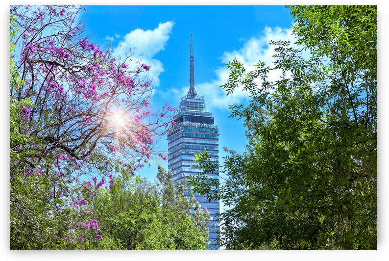 Landmark tower Torre Latinoamericana near the Alameda Central Park and historic Zocalo center by Elijah Lovkoff