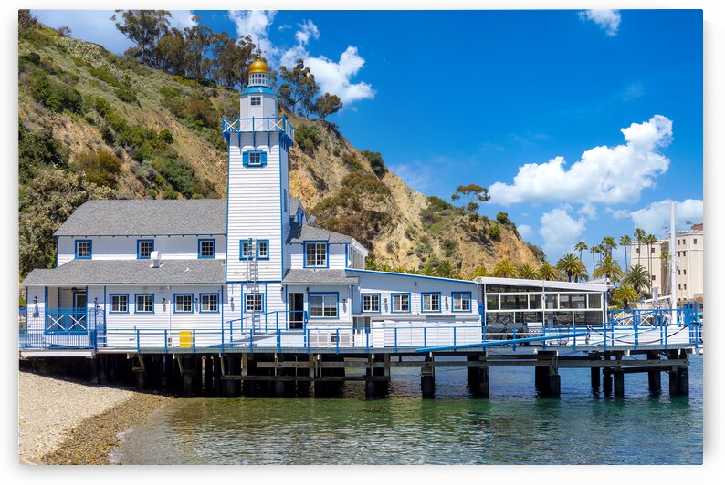 Scenic colorful streets of Avalon in Catalina Island in California USA by Elijah Lovkoff