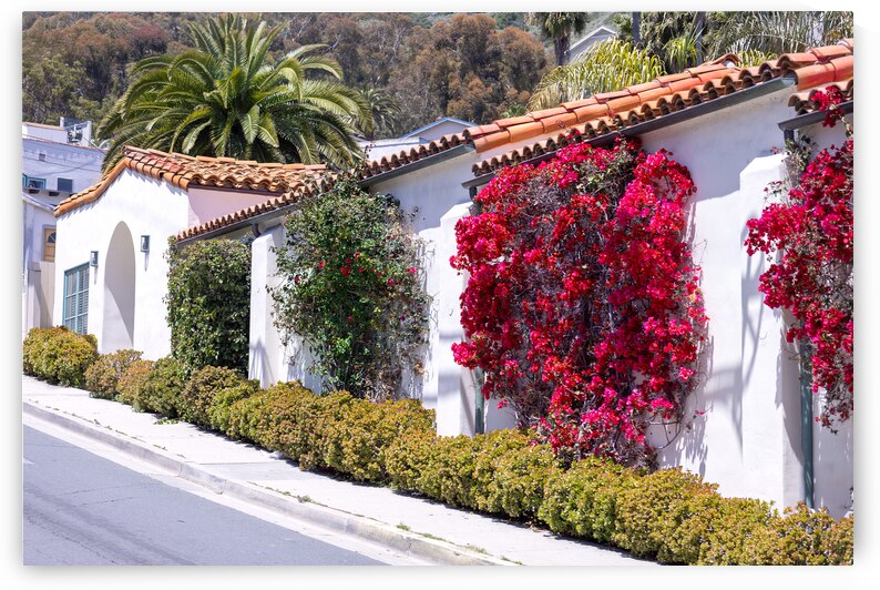 Scenic colorful streets of Avalon in Catalina Island in California USA by Elijah Lovkoff