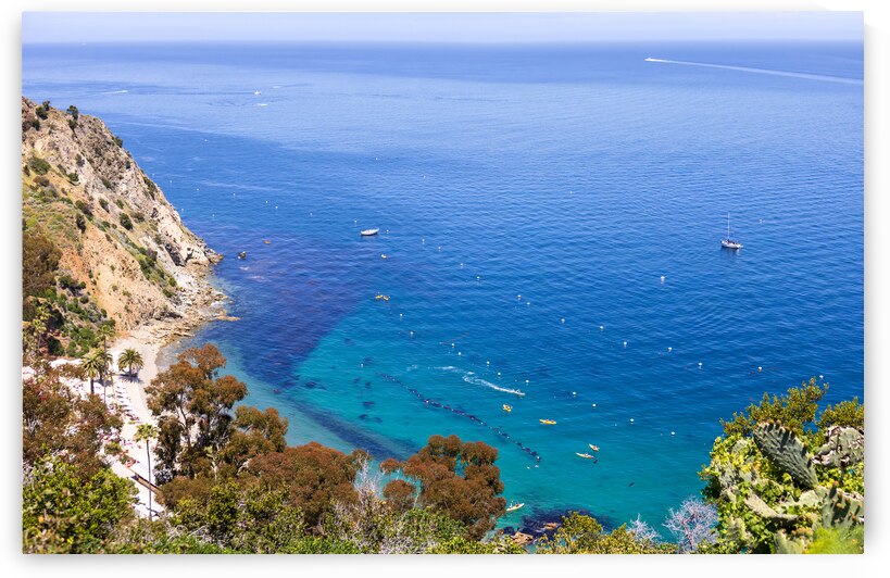 Panoramic view of Catalina Island Bay and Avalon city in California. Famous resorts and travel tourism attraction. by Elijah Lovkoff