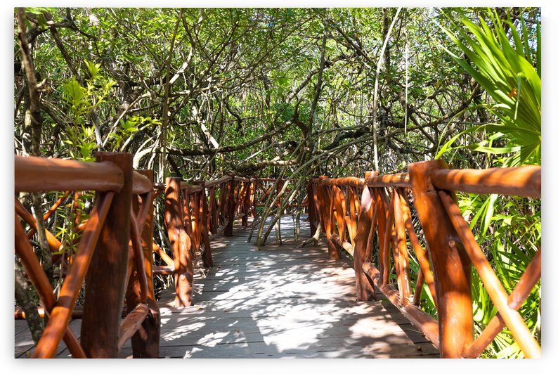 Mexico tourism destination caves and pools of Cenote Casa Tortuga near Tulum and Playa Del Carmen by Elijah Lovkoff