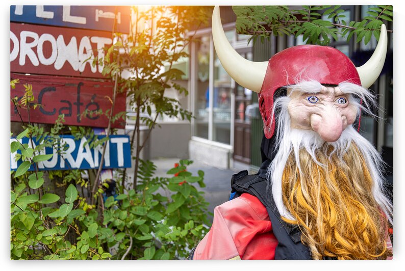 Iceland Akureyri town starting point to Godafoss waterfall tour lake Myvatn and whale watching by Elijah Lovkoff