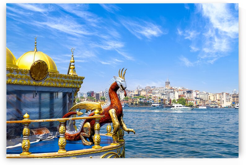 Bosphorus strait in Istanbul Bosporus tour boats and views of Istanbul mosques and historic center by Elijah Lovkoff