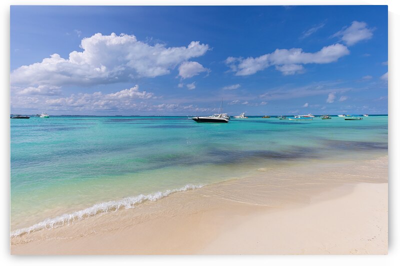 Mexico Cancun Isla Mujeres Playa Norte beach with palms trees and sand waiting for tourists by Elijah Lovkoff
