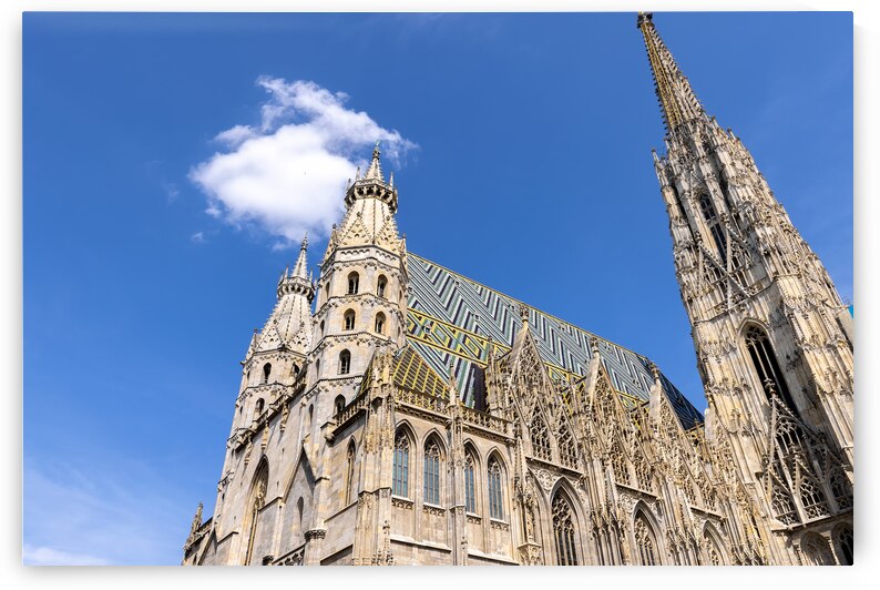 Austria Vienna gothic St. Stephen Cathedral main cathedral in Vienna by Elijah Lovkoff