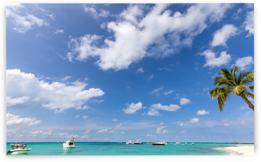 Mexico Cancun Isla Mujeres Playa Norte sand beach with palm trees waiting for tourists by Elijah Lovkoff