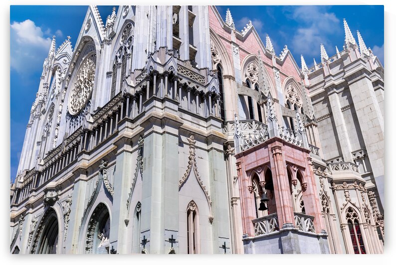 Mexico Expiatory Temple of Leon in Leon historic city center by Elijah Lovkoff