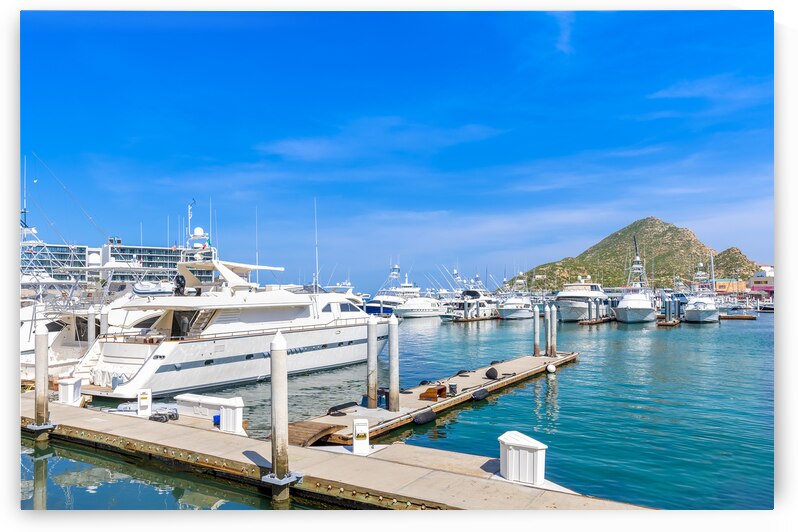 Mexico marina and yacht club in Cabo San Lucas Los Cabos departure point to El Arco and beaches by Elijah Lovkoff