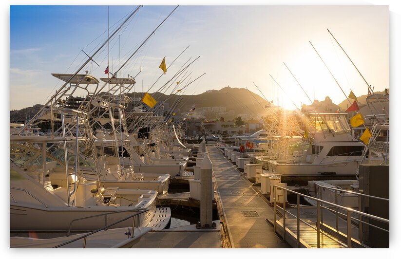 Mexico marina and yacht club in Cabo San Lucas Los Cabos departure point to El Arco and beaches by Elijah Lovkoff