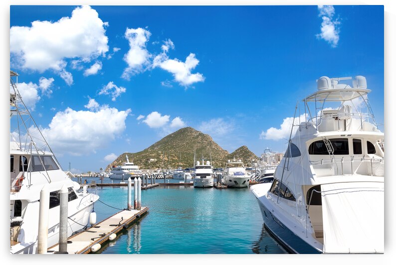 Mexico marina and yacht club in Cabo San Lucas Los Cabos departure point to El Arco and beaches by Elijah Lovkoff
