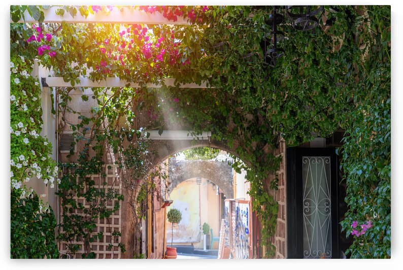 Greece travel destination colorful streets of Rhodes island city Rhodes in historic city center by Elijah Lovkoff