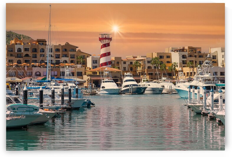 Marina and yacht club area in Cabo San Lucas Los Cabos a departure point for cruises marlin fishing and lancha boats to El Arco Arch and beaches by Elijah Lovkoff