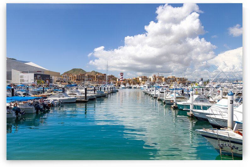 Marina and yacht club area in Cabo San Lucas Los Cabos a departure point for cruises marlin fishing and lancha boats to El Arco Arch and beaches by Elijah Lovkoff