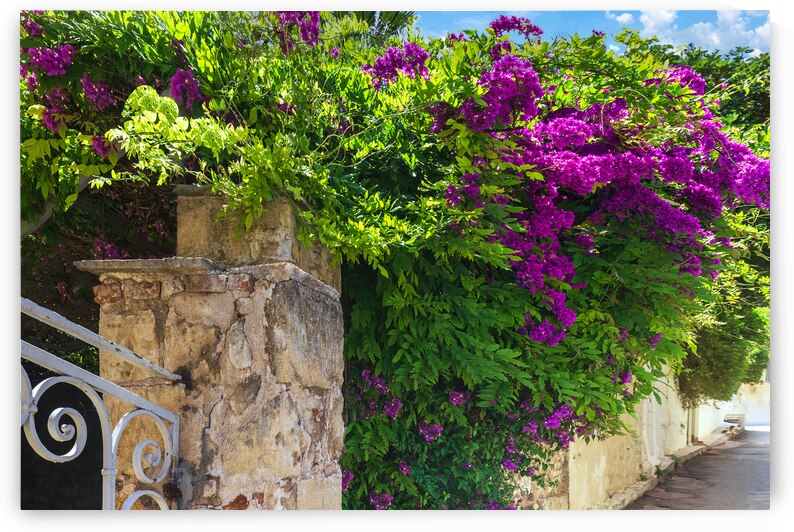 Greece historic neighborhood of Plaka and Anafiotika in Athens with restaurants near Acropolis by Elijah Lovkoff