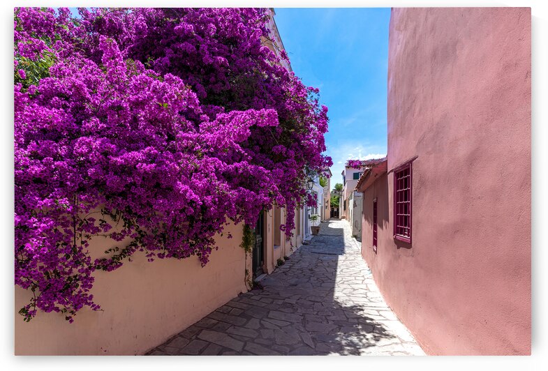 Greece historic neighborhood of Plaka and Anafiotika in Athens with restaurants near Acropolis by Elijah Lovkoff