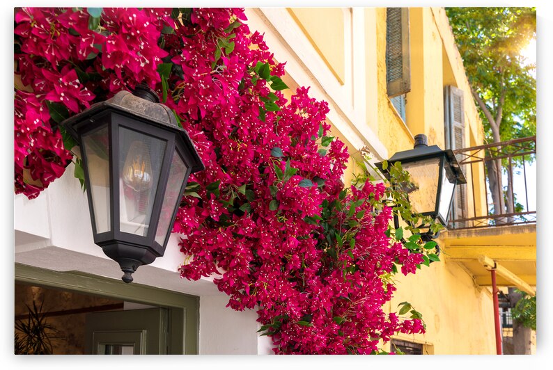 Greece historic neighborhood of Plaka and Anafiotika in Athens with restaurants near Acropolis by Elijah Lovkoff