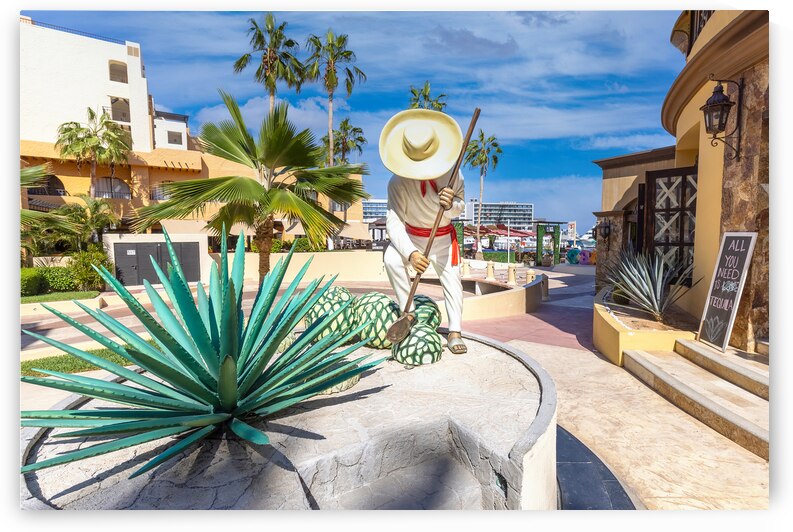 Tequila shop in Los Cabos marina in Cabo San Lucas Los Cabos a departure point for cruises marlin fishing and lancha boats to El Arco Arch and beaches by Elijah Lovkoff