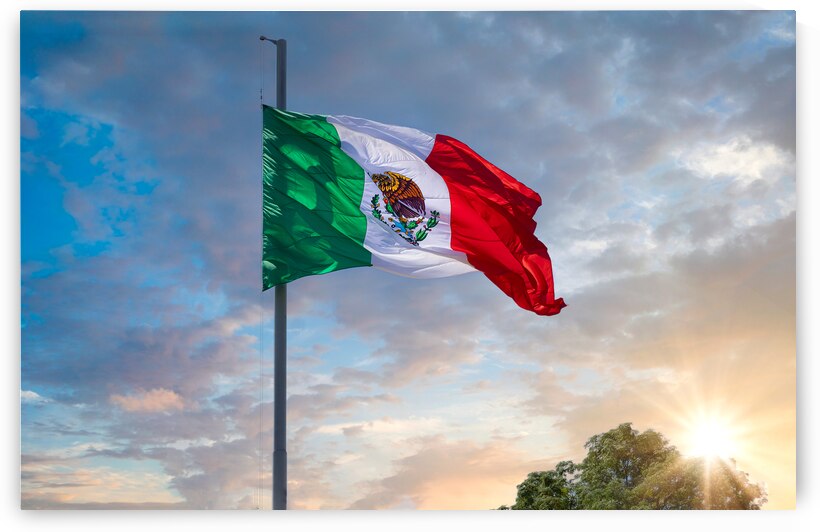 Los Cabos Mexico Mexican tricolor national striped flag proudly waving at mast in the air with Aztec symbol for Tenochtitlan by Elijah Lovkoff