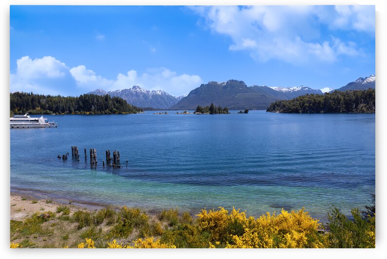 Patagonia Bariloche. Island Isla Victoria and Arrayanes forest scenic landscape by Elijah Lovkoff