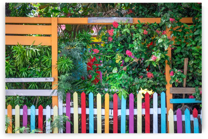 Caribbean cruise vacation. Colorful street cafe in Marigot in Saint Martin by Elijah Lovkoff