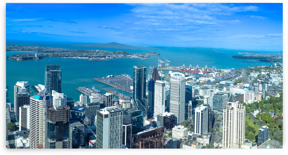 Panoramic skyline of Wellington downtown harbor and financial ce by Elijah Lovkoff