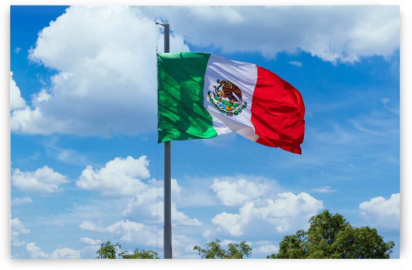 Los Cabos Mexico Mexican tricolor national striped flag proudly waving at mast in the air with Aztec symbol for Tenochtitlan by Elijah Lovkoff