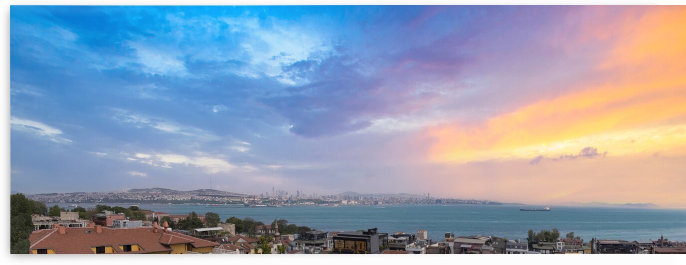 Turkey Panoramic view of Bosphorus strait in Istanbul ships in Bosporus approaching the port by Elijah Lovkoff