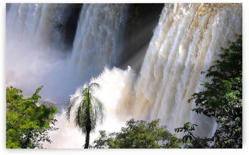 Argentina popular tourism destination of Iguazu National waterfall park scenic landscapes by Elijah Lovkoff