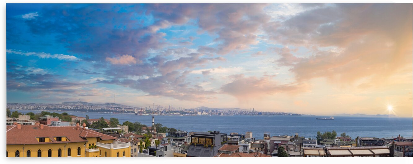 Turkey Panoramic view of Bosphorus strait in Istanbul ships in Bosporus approaching the port by Elijah Lovkoff