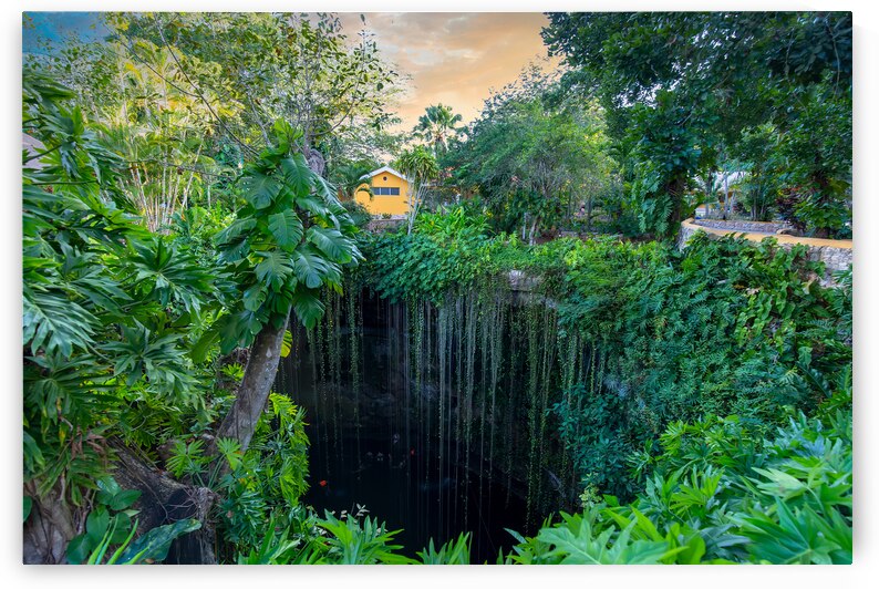 Ik Kil Cenote located in the northern center of the Yucatan Peninsula a part of the Ik Kil Archeological Park near Chichen Itza by Elijah Lovkoff