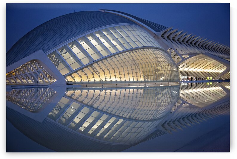 Valencia Spain 10 April 2019: The Science Museum of Principe F by Elijah Lovkoff