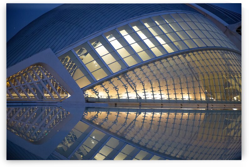 Valencia Spain 10 April 2019: The Science Museum of Principe F by Elijah Lovkoff