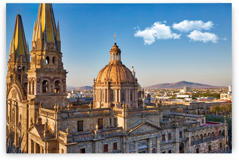 Guadalajara Cathedral Cathedral of the Assumption of Our Lady by Elijah Lovkoff