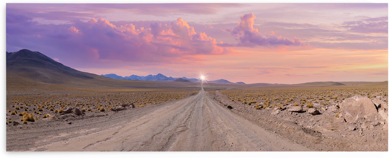 Chile San Pedro de Atacama Tatio Geysers in Atacama Desert by Elijah Lovkoff