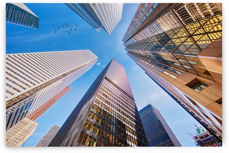 Scenic Toronto financial district skyline and modern architecture by Elijah Lovkoff